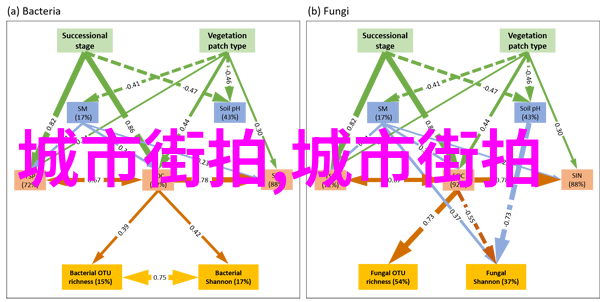 分叉前额 